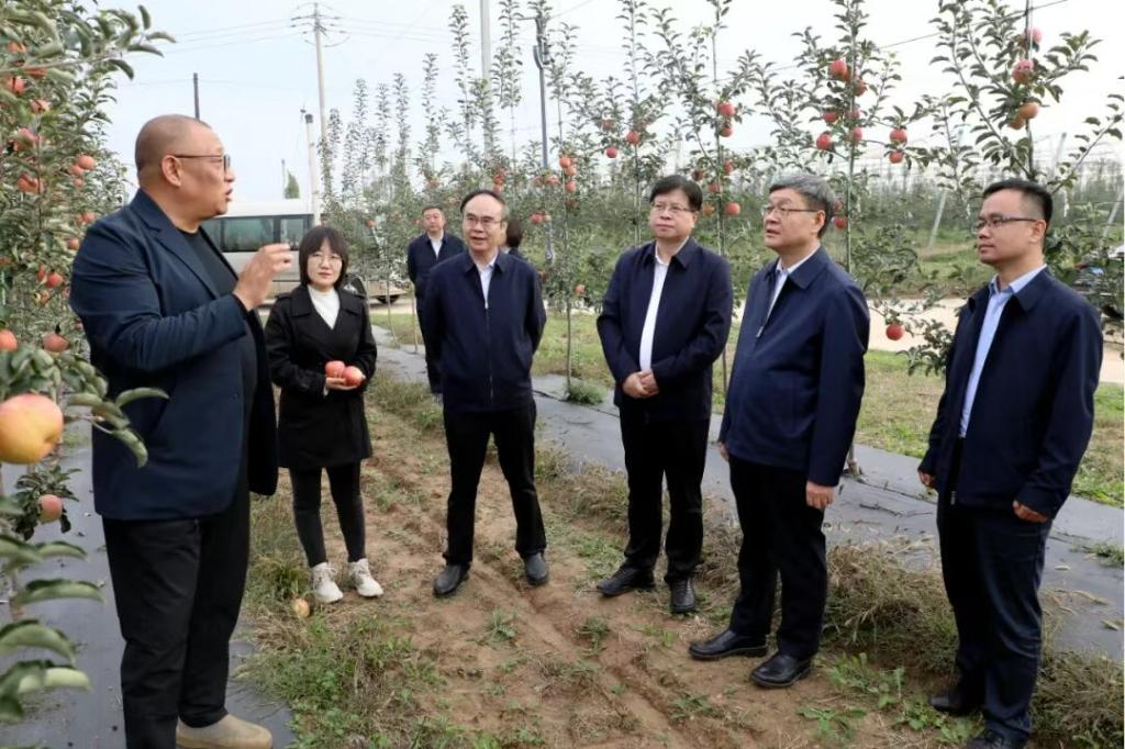 86622617E82D7C04CCBB282B304_99C54674_1EDD2