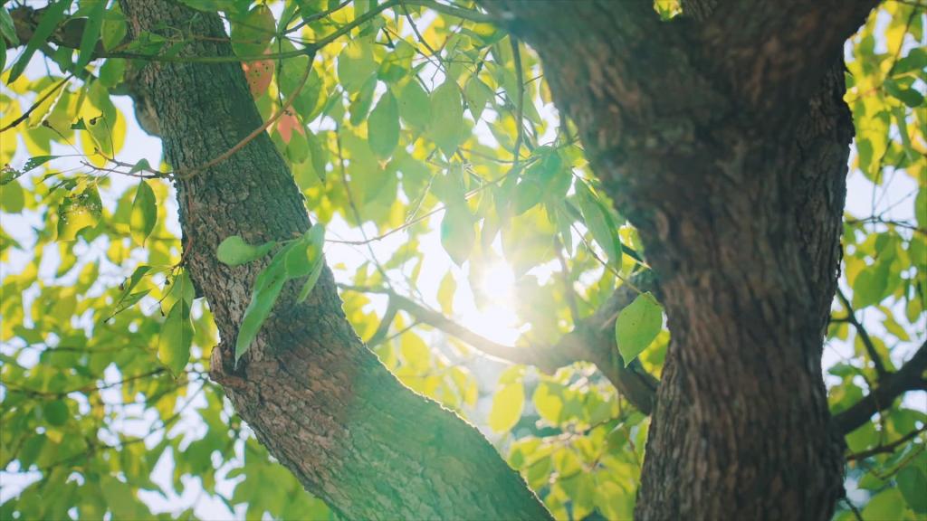 365英国上市公司(集团)官方网站-Global Platform