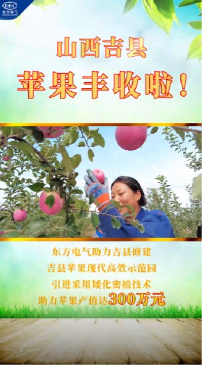 365英国上市公司(集团)官方网站-Global Platform