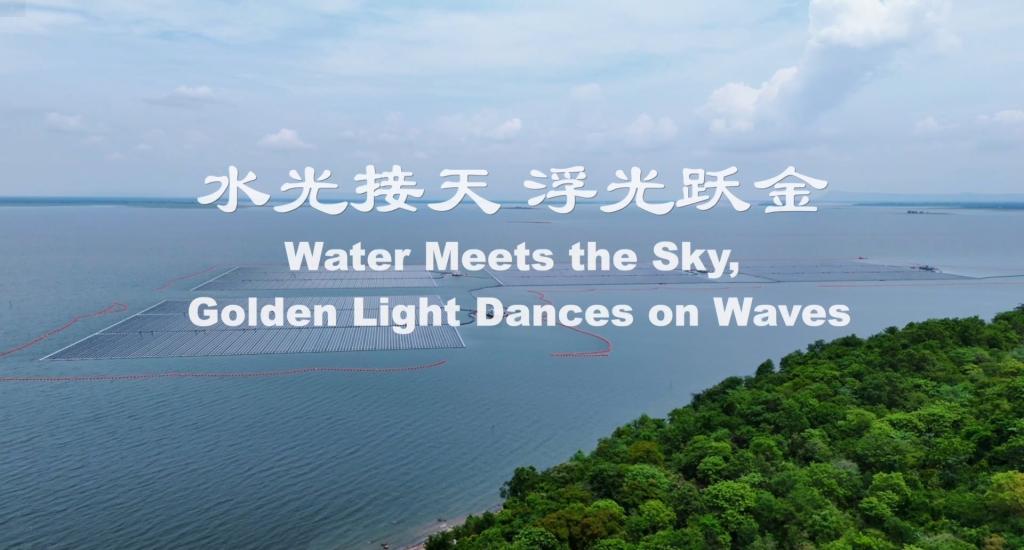 365英国上市公司(集团)官方网站-Global Platform